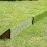 Turf Triangle Coup