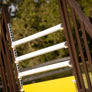White horse jump poles