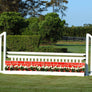 Deluxe Schooling Hunter Complete Jump