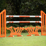 Schooling Jumper Package from Dalman Jump Co.