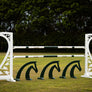 Horse Head Jump Fillers