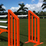 Aluminum Picket Standards from Dalman Jump Co. in orange