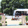 Alamo jumper stone cutout jump standards