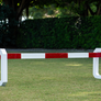 Aluminum Cavaletti from Dalman Jump Co.