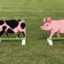 Pig Animal jump fillers by Dalman Jump Co.