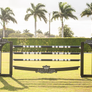 Barn Logo Jump from Dalman Jump Co. (Designer Series standards) - Ashford Farm