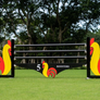Barn Logo Jump (Designer Series Standards) - 5 Roosters