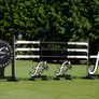 Barn Logo Jump (Designer Series Standards) from Dalman Jump Co.