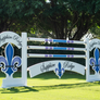 Barn Logo Jump (Designer Series Standards) from Dalman Jump Co.