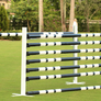 Basic Jump Package from Dalman Jump Co.