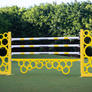 yellow bubble jump standards
