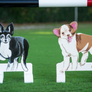 Custom dog Pet horse jump Filler from Dalman Jump Co.