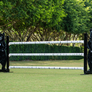 Designer Black Bear Jump standards