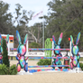 Bunny jump standards (Designer Series) from Dalman Jump Co.