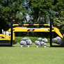 Cat power tools horse jump