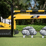 Custom Themed Jumps from Dalman Jump Co. - CAT (Designer Series)