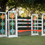 Turkish Jump Standards (Designer Series) from Dalman Jump Co.
