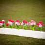 Flower boxes from Dalman Jump Co.