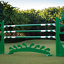 Designer "Grow" Jump from Dalman Jump Co.