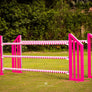 pink Spiral jump poles from Dalman Jump Co.