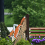 Fox Hunter Jump Standards from Dalman Jump Co.