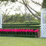 Hunter Show Course Package