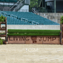 Living Hunter Jump from Dalman Jump Co.