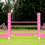 Kid Jump from Dalman Jump Co. - Custom Logo