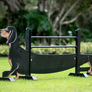 Kid Jump from Dalman Jump Co. - Daschund