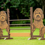 Kid Jump from Dalman Jump Co. - Golden Doodle