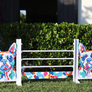 Kid Jump from Dalman Jump Co. - Pop Art Dog