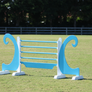 Kid 'wave' jump by Dalman Jump Co.