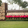 Log-Ends hunter jump standards