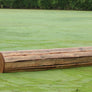 Log jump from Dalman Jump Co.