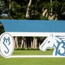 Logo Jumper Wall from Dalman Jump Co.