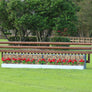 Aluminum Picketed Wing Standards with Hunter Log Wall, Ladder Style Gate, and Flower Boxes