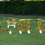 LSU Sports-themed jump fillers from Dalman Jump Co.