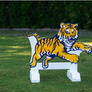 Sports-themed jump fillers from Dalman Jump Co.