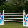 Pop Art Dog (Designer Series) from Dalman Jump Co.