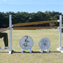 Theme Jump from Dalman Jump Co. — Queen's Roger Taylor
