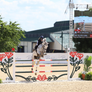 Rose Horse Show Jump Standards