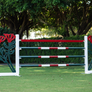 Rose Designer Jump from Dalman Jump Co.