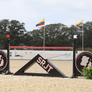 Custom Logo Wall with standards from Dalman Jump Co.
