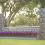 Hunter Show Course Package