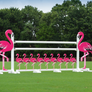 Flamingo Jump Fillers from Dalman Jump Co.