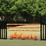 Fire themed horse jump fillers and poles