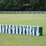 Birch Hunter Wall from Dalman Jump Co.
