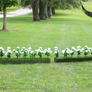 Turf flower boxes from Dalman Jump Co.