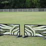 Zebra cutout jump fillers from Dalman Jump Co. — black and white