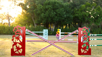 The Truth About Aluminum Horse Jumps